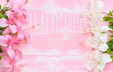 Wallpaper Flowers Background Pink Wood Pink Flowers Images For