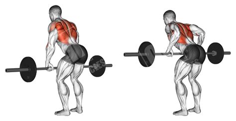Barbell Upper Body Workout Meanmuscles