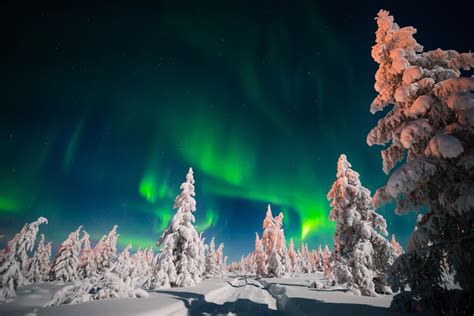 Aurora Borealis Over Snowy Winter Forest 4k Ultra Hd Wallpaper