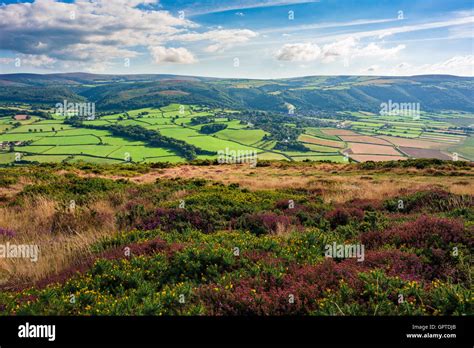 Bossington Hill In Late Summer Overlooking The Rolling Hills Of Exmoor