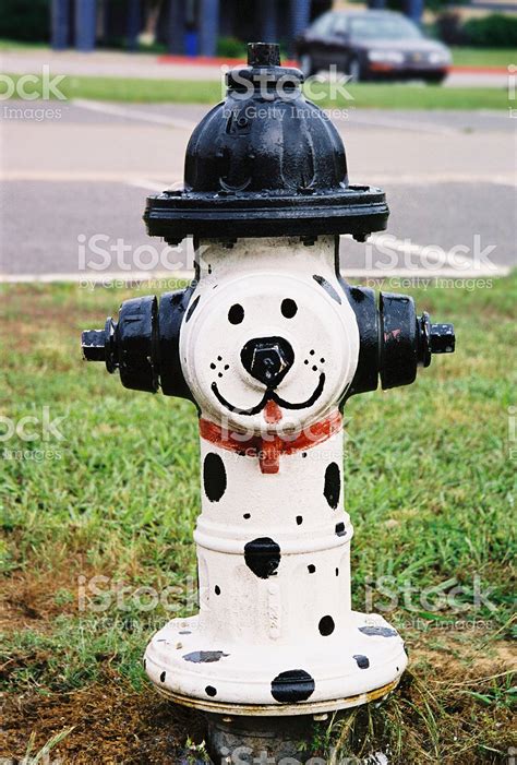 Dalmation Painted Hydrant Hydrant Fire Hydrant Street Art