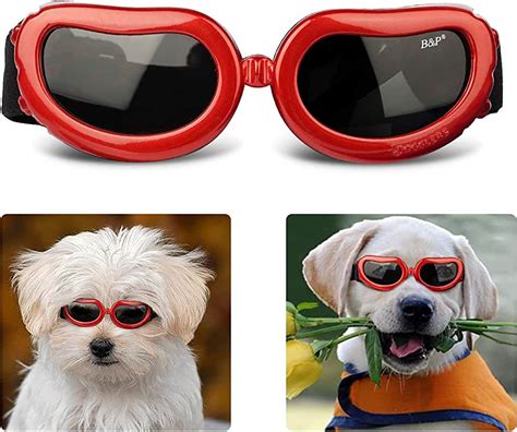 Dog Sunglasses For Small Dogs