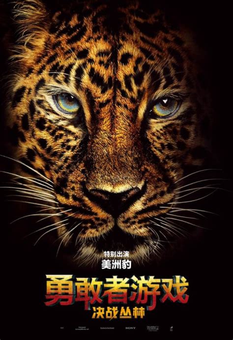 480 x 360 jpeg 28 кб. Jumanji: Welcome to the Jungle Movie Poster (#17 of 22) - IMP Awards