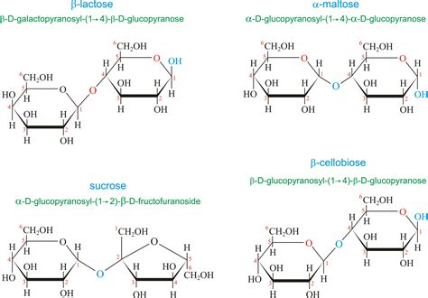 Anomeric carbon in the largest biology dictionary online. Disaccharide @ Chemistry Dictionary & Glossary