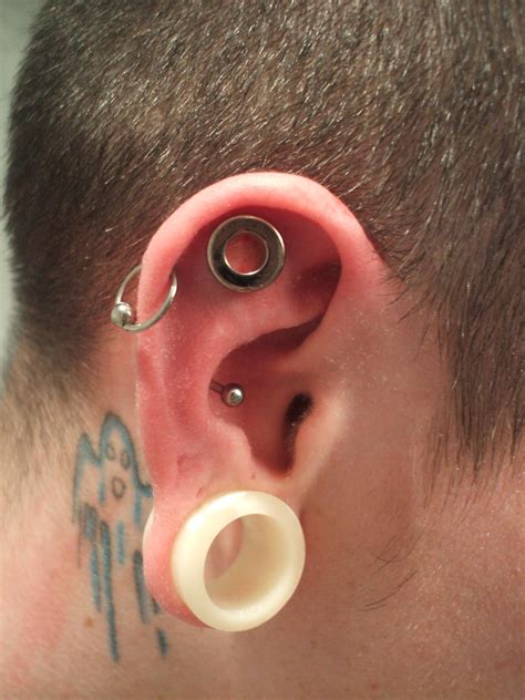 Dermal Punch Conch Holier Than Thou Piercing And Modification Flickr