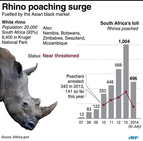 Latest Rhino Poaching Statistics