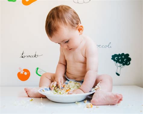 Qual A Idade Correta Para Iniciar A Introdução Alimentar Em Bebês