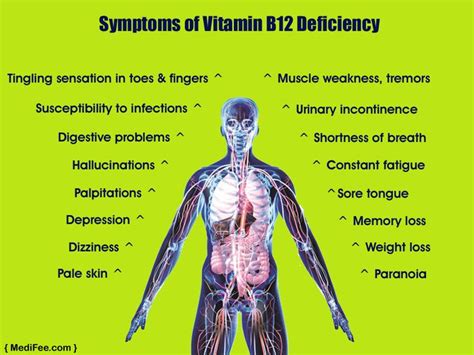 symptoms of vitamin b12 deficiency by medifee muscle weakness tongue sores digestion problems