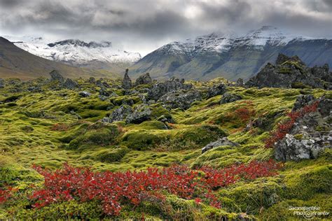Fall Colors At Snaefellsnes Landscapes Iceland Europe