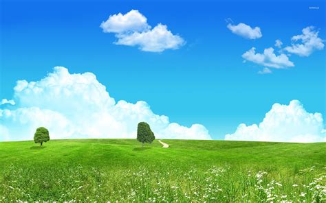 Meadow Wallpapers Top Free Meadow Backgrounds Wallpaperaccess