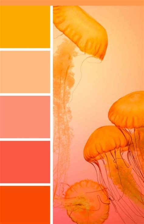 21 Shades Of Orange Color Palette Offeo