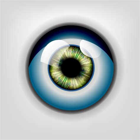 Eye Realistic Free Vector In Adobe Illustrator Ai Ai Vector