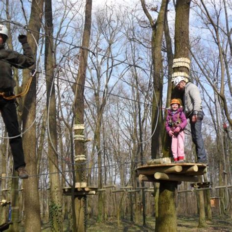 Felsőlajos — nem a tavaszi fáradtság, hanem a hűvös idő miatt alszik sokat a felsőlajosi magánzoo állatkert sivatagi rókája. Lajosmizse látnivalók - 63 ajánlat véleményekkel - Szallas ...