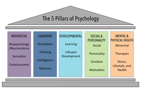 The Five Psychological Domains Introduction To Psychology