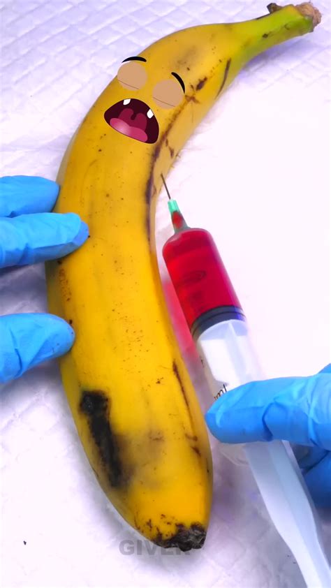 Banana Is Alive Needs Sugical Operation Save Berry Shorts