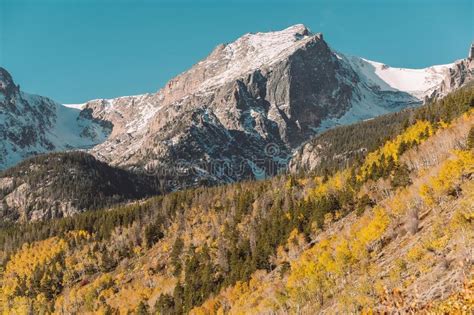 Aspen Grove At Autumn In Rocky Mountains Stock Image Image Of