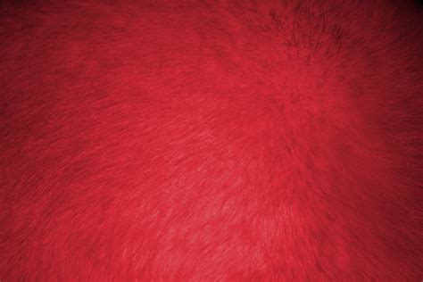 Red Fur Texture Picture Free Photograph Photos Public Domain