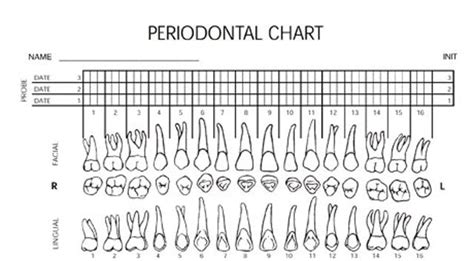 Ada Guidelines For Perio Charting Best Picture Of Chart