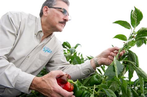 Sysco Buys Out U.S. Foods, To Create $65 Billion Food Distributor