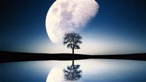 Download Moon Tree Lake Silhouette Art Wallpaper