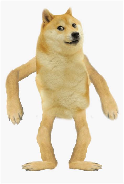 A subreddit for sharing, discussing, hoarding and wow'ing about dogecoins. 10 Transparent Png Doge Head - Movie Sarlen14