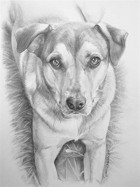85 Simple And Easy Pencil Drawings Of Animals For Every Beginner Dog