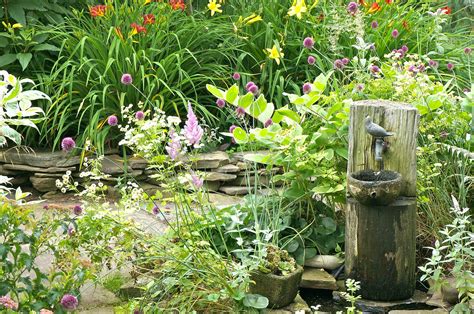 Creating Your Dream Garden