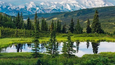 Beautiful Scenery Lake Surrounded By Green Grass Trees Bushes In White