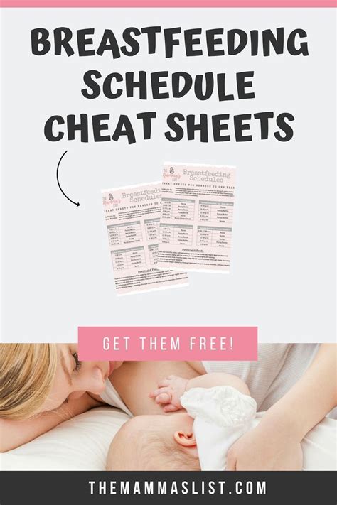Breastfeeding Schedule Cheat Sheet How Often To Feed The First Year In 2020 Breastfeed And