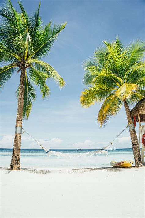 They used her murder to sell newspapers to a growing readership of people from the working class. Top 6 des meilleures plages de Martinique