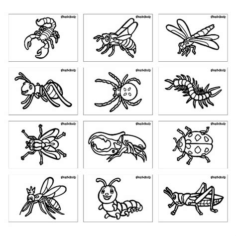 Jual Kertas Gambar Mewarnai Untuk Anak 12 Lembar Tema Serangga