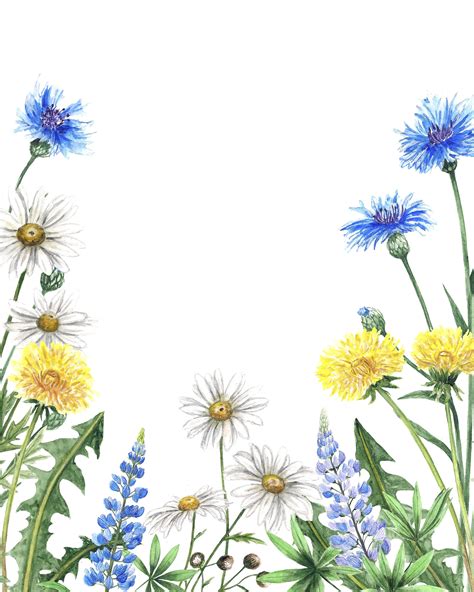Watercolor Wildflowers Frames 306999 Illustrations Design Bundles