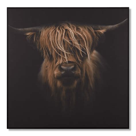 Scottish Highland Cattle Framed Printed Canvas Bouclair