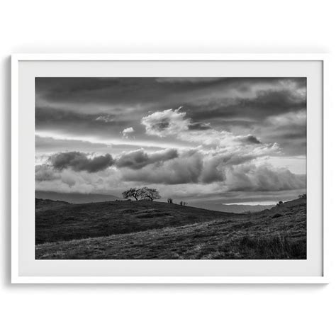 A Tree On A Hill Black And White Fine Art Photography Print California