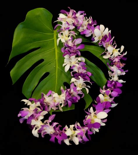 Single Strung Dendrobium Orchid Lei Gecko Farms Hawaii Leis And Fresh