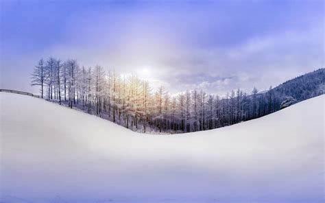 Nature Winter Forest Snow Hill Sky Sun Rays Wallpaper