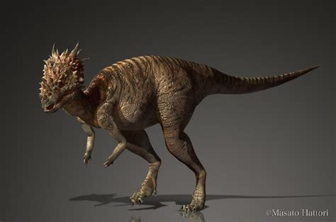 Dracorex Pictures And Facts The Dinosaur Database