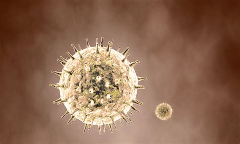 Virotherapy Skin Cancer Successfully Treated With Herpes Based Drug
