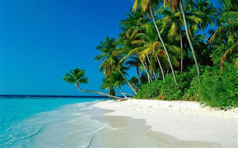 Top 10 Tropische Eilanden