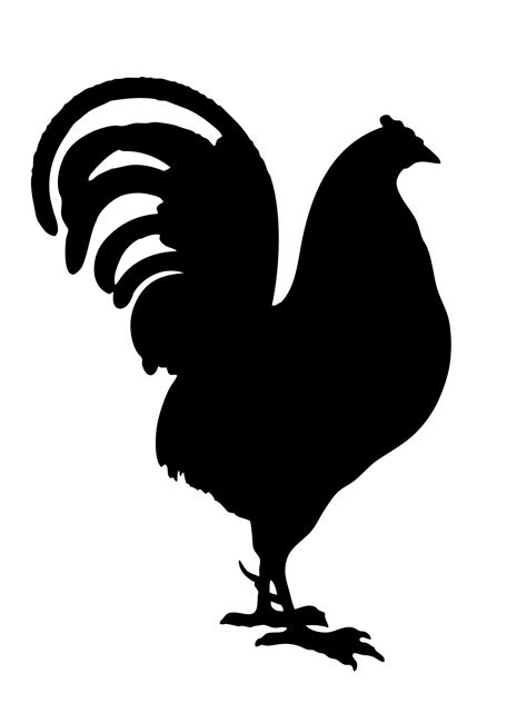 Rooster Black Silhouette Clipart Free Stock Photo Public Domain Pictures