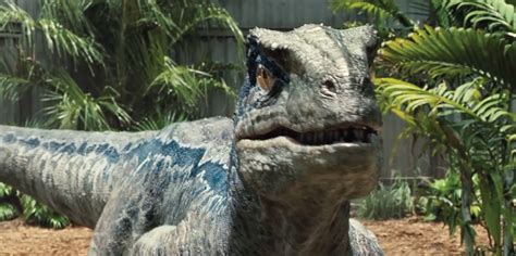 Blue Park Pedia Jurassic Park Dinosaurs Stephen Spielberg