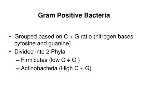 Ppt Gram Positive Bacteria Powerpoint Presentation Free Download Id331429