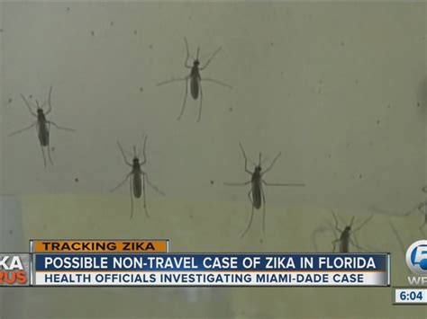 New Zika Case Serves As Wakeup Call