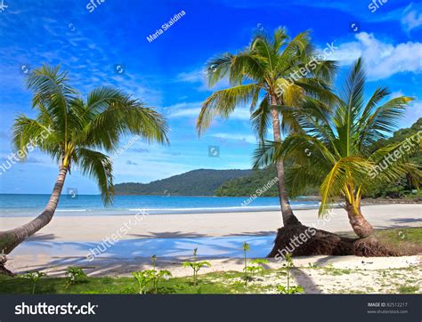 Summer Sunny Beach With Tropical Palm Tres Under Blue Sky