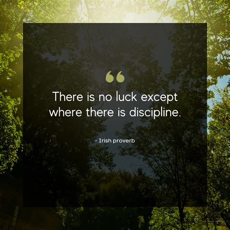 21 Self Discipline Quotes To Keep You On Track Daily Fit Alert