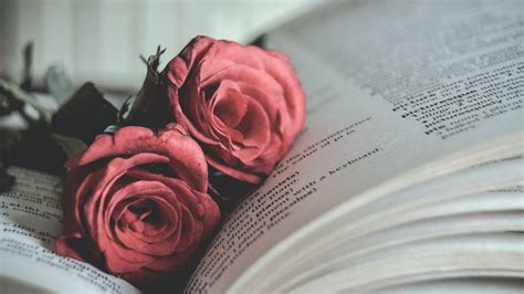 24 Book And Flower Wallpapers Wallpaperboat