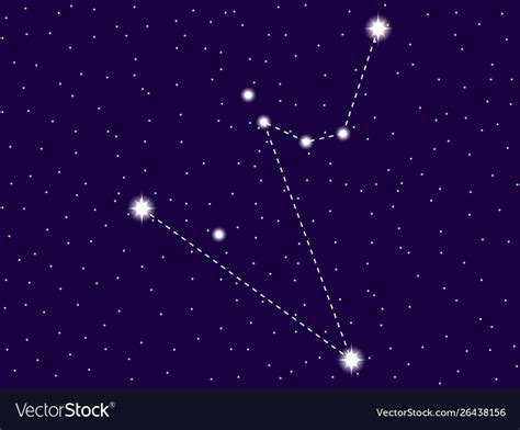 Hydrus Constellation Starry Night Sky Zodiac Sign Vector Image