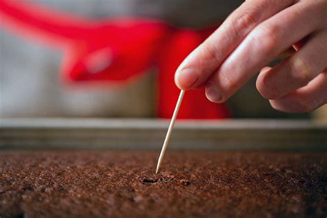 How can you tell when halibut is done? How to tell when cake is done | King Arthur Baking
