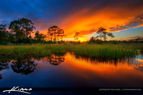 Acreage Pines Natural Area Sunset Loxahatchee Florida Royal Stock Photo