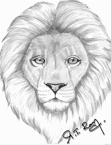 How To Draw A Lion Face Easy And Simple Drawing For B